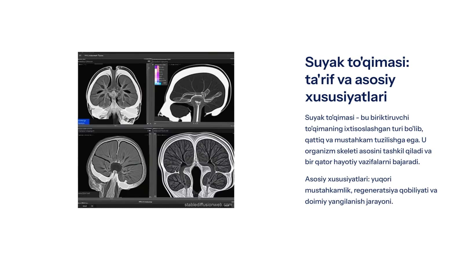 Suyak va tog’ay  to’qimasi 3