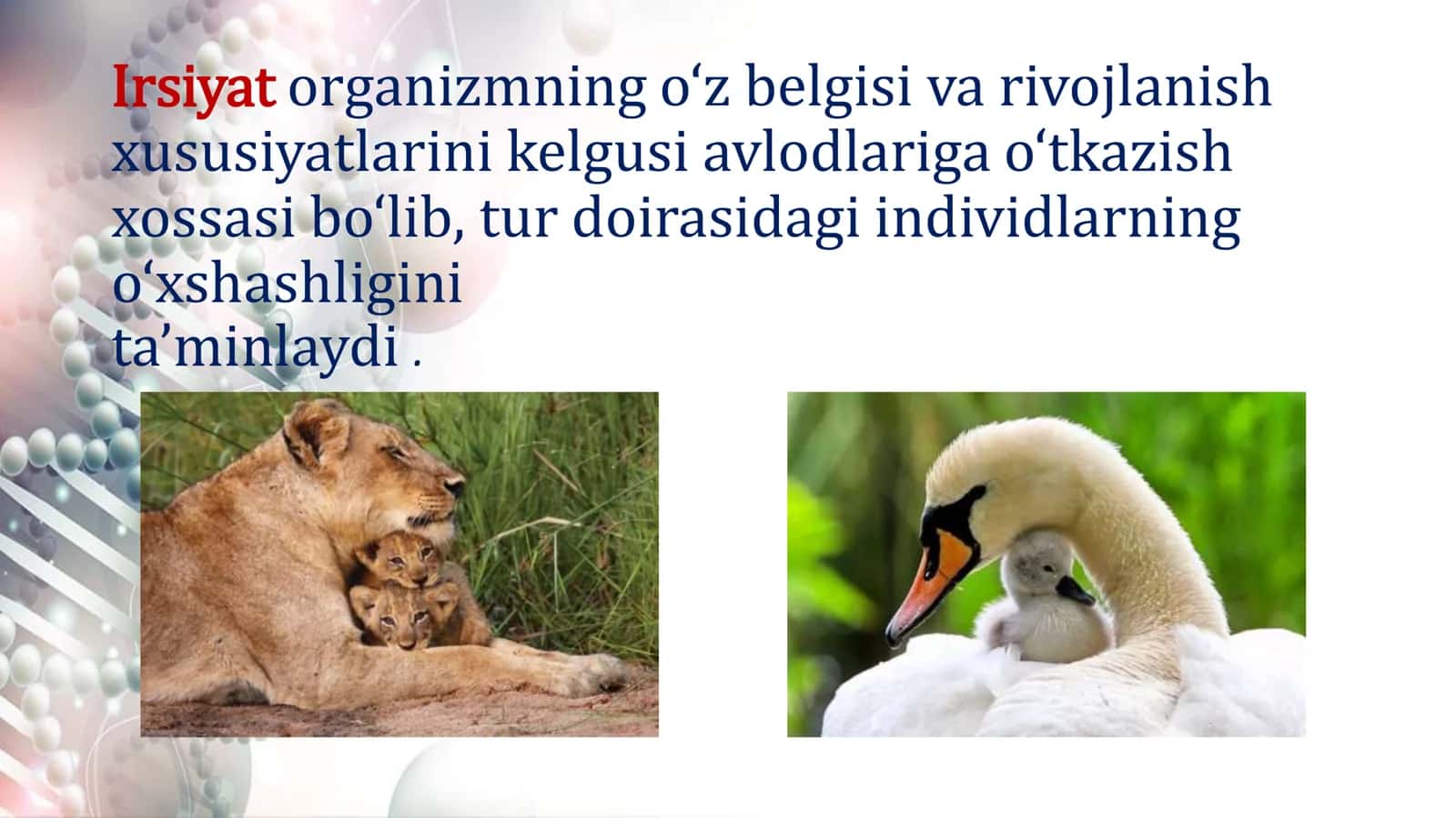 Irsiyat qonunlari 3
