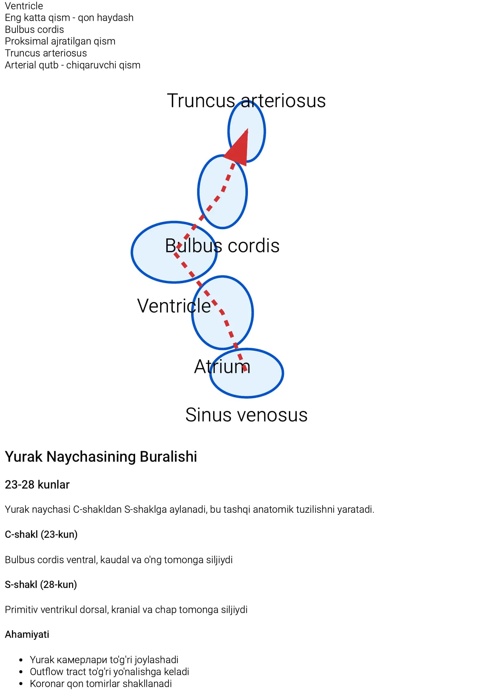 Embriologiya va Fiziologiya 3