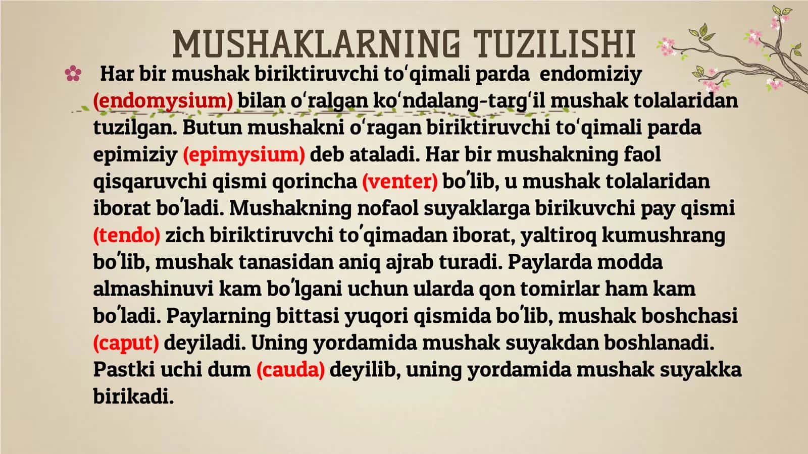 MUSHAKLAR HAQIDAGI ILM-MIOLOGIYA 3
