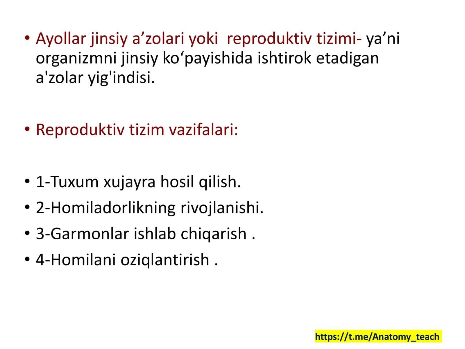 Jinsiy Sistema anatomiyasi 3