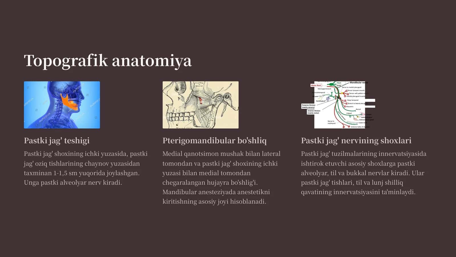 Mandibulyar anesteziya 3
