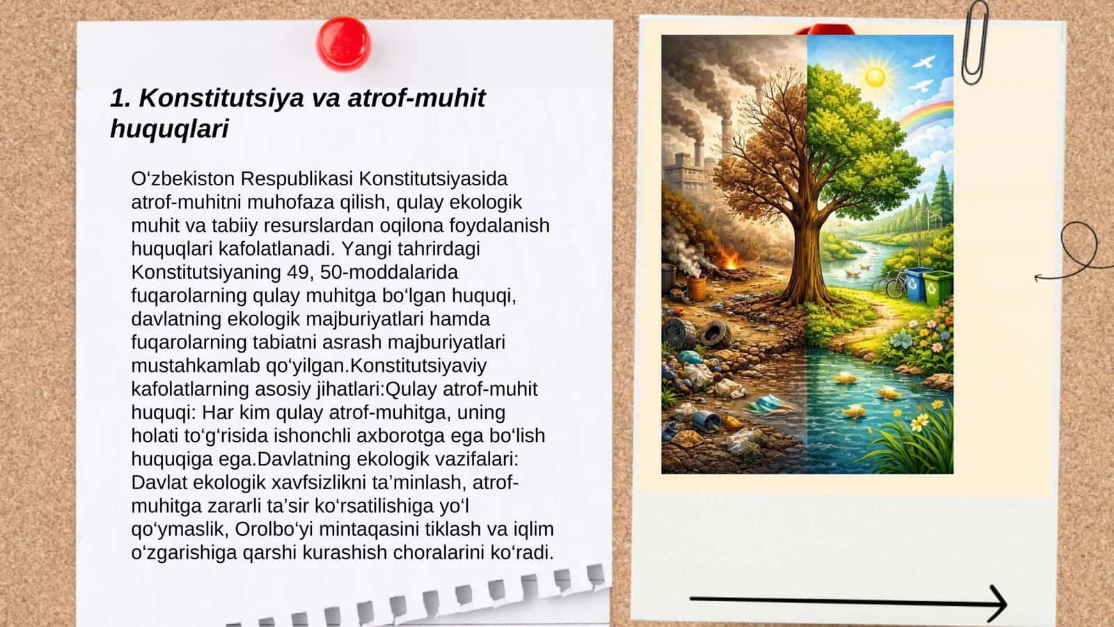 Konstitutsiya va ekologik madaniyat 3