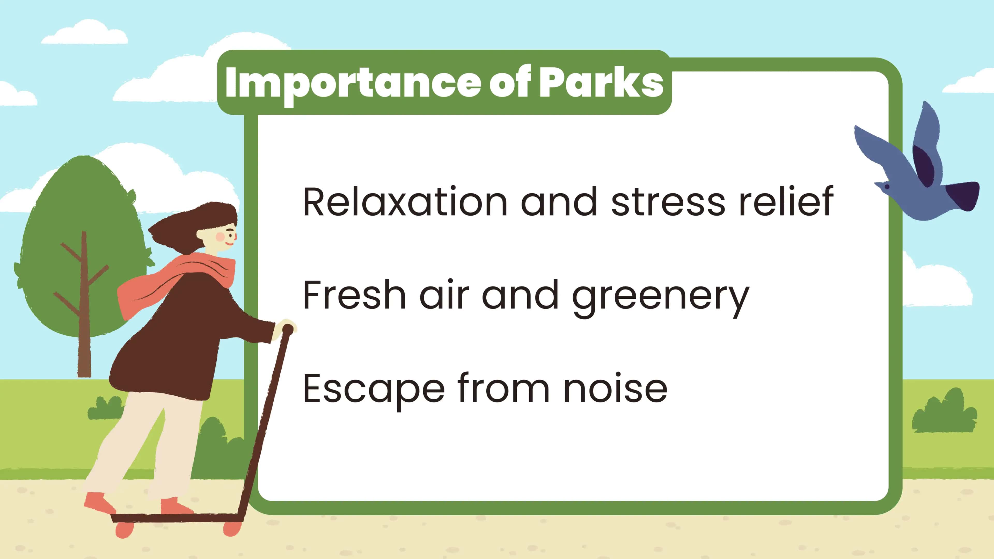 Parks and Outdoor Activities 3