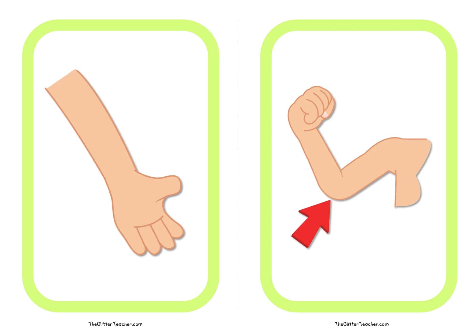 BODY PARTS FLASH CARDS 3