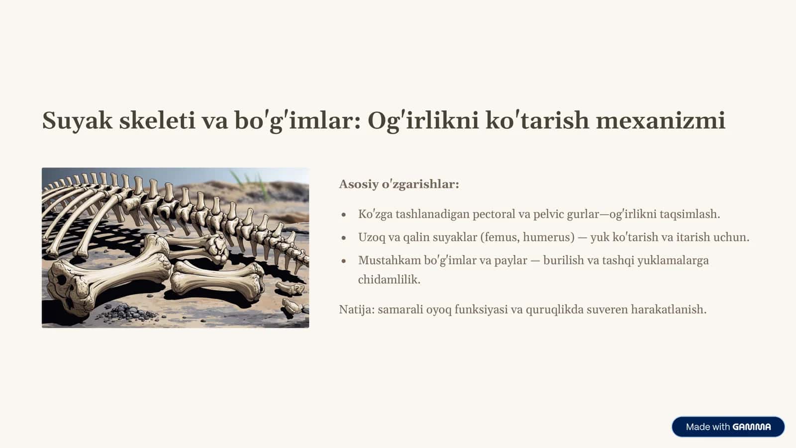 Tetrapoda katta sinfi: Quruqlikda yashash sirlari 3