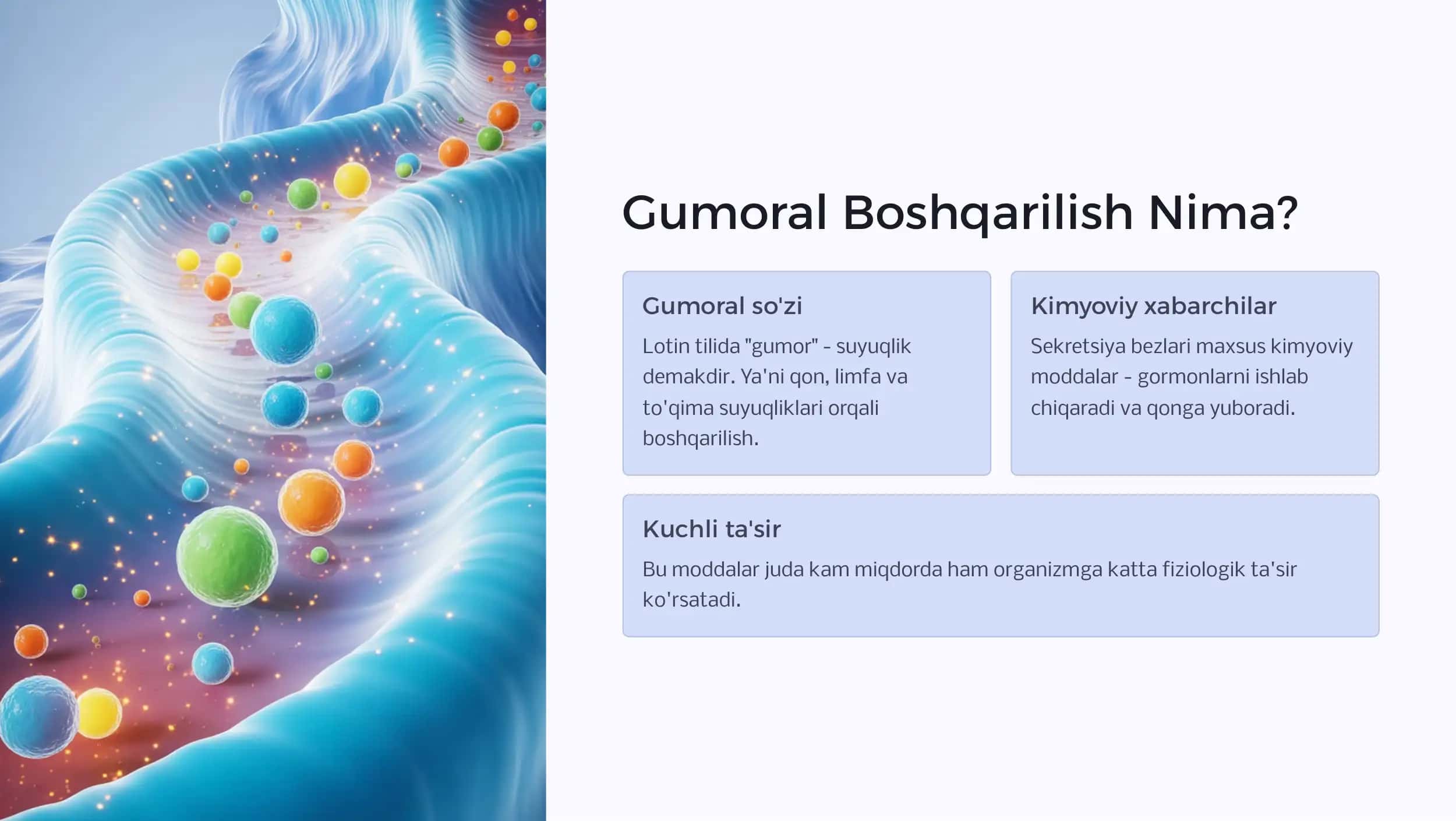 Organizmning Gumoral va Nerv Boshqarilishi 3