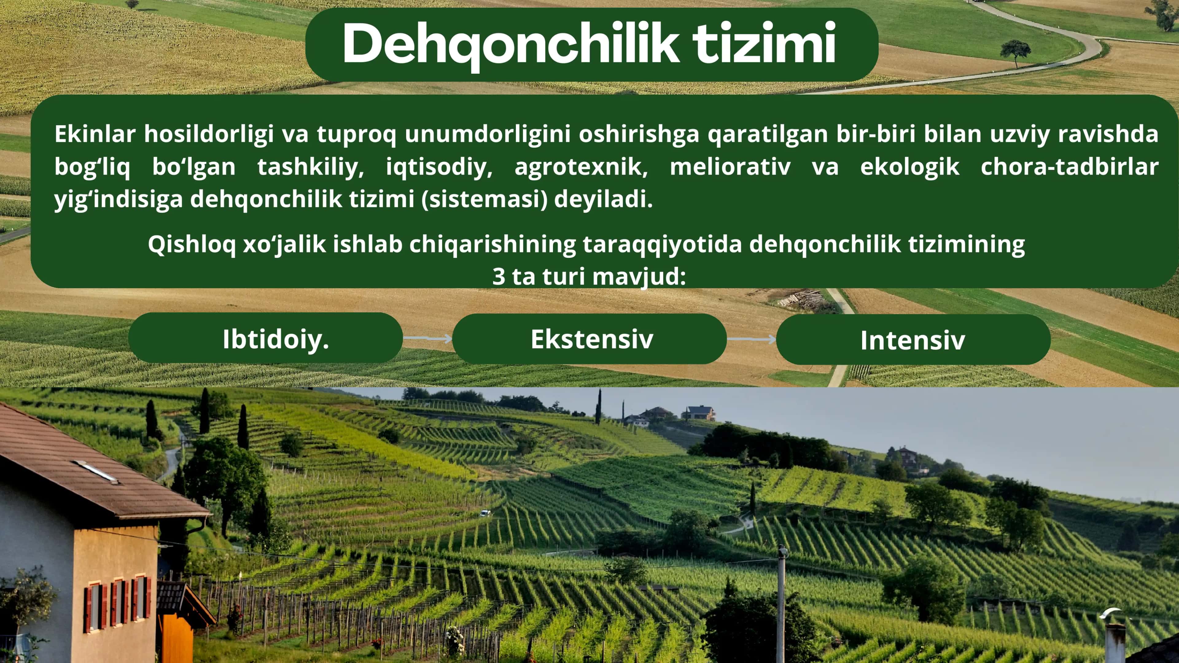 Dehqonchilik tizimi 3