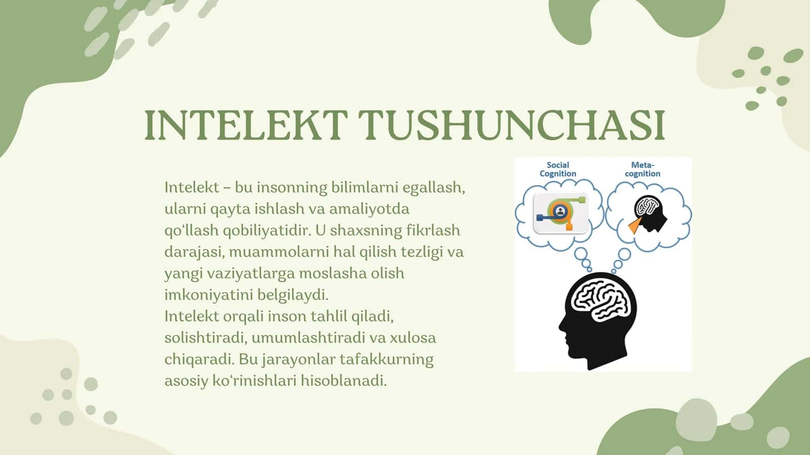 INTELEKT DARAJALARI VA INTERPRETATSIYASI 3