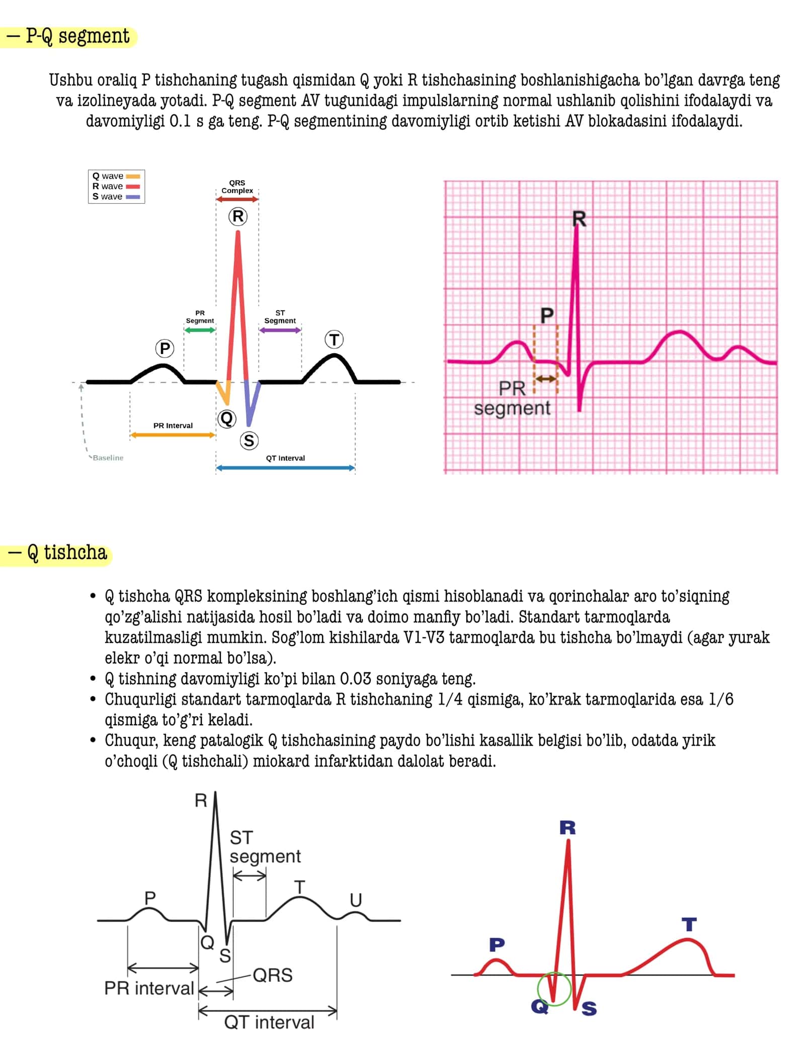 EKG tarkibiy qismlari 3