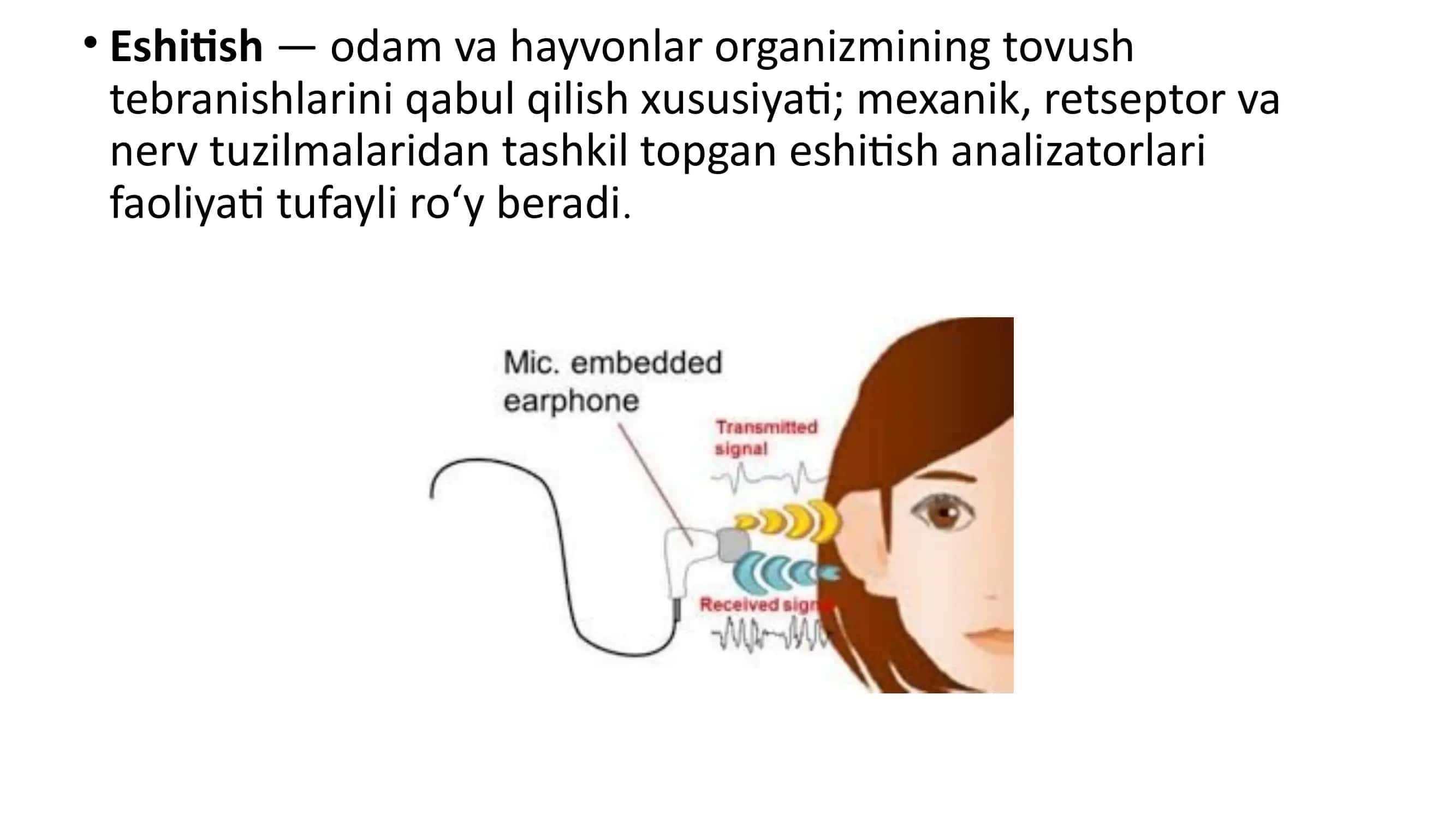 Eshitish, hid bilish va ta`m bilish a`zolari 3