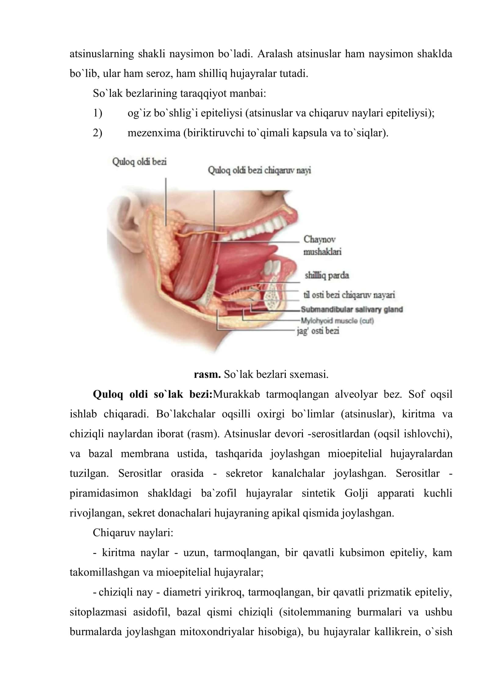 Hazm tizimi so`lak bezlari 3