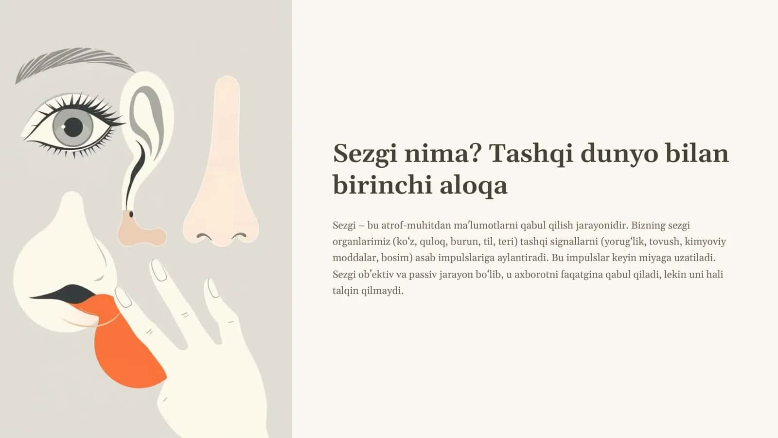 Kognitiv jarayonlar Sezgi va idrok haqida tushuncha 3