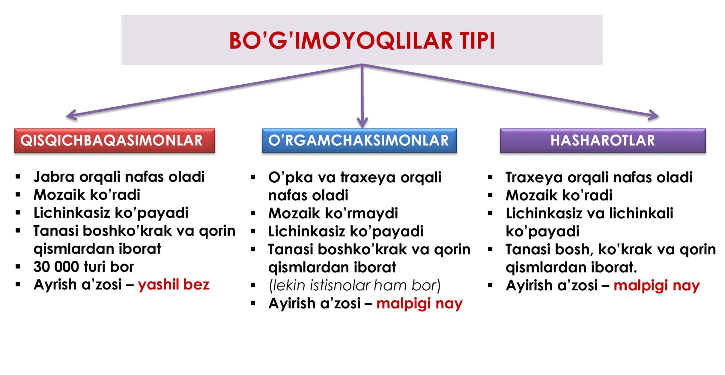 Super taqdimot Xalqali chuvalchanglar 3