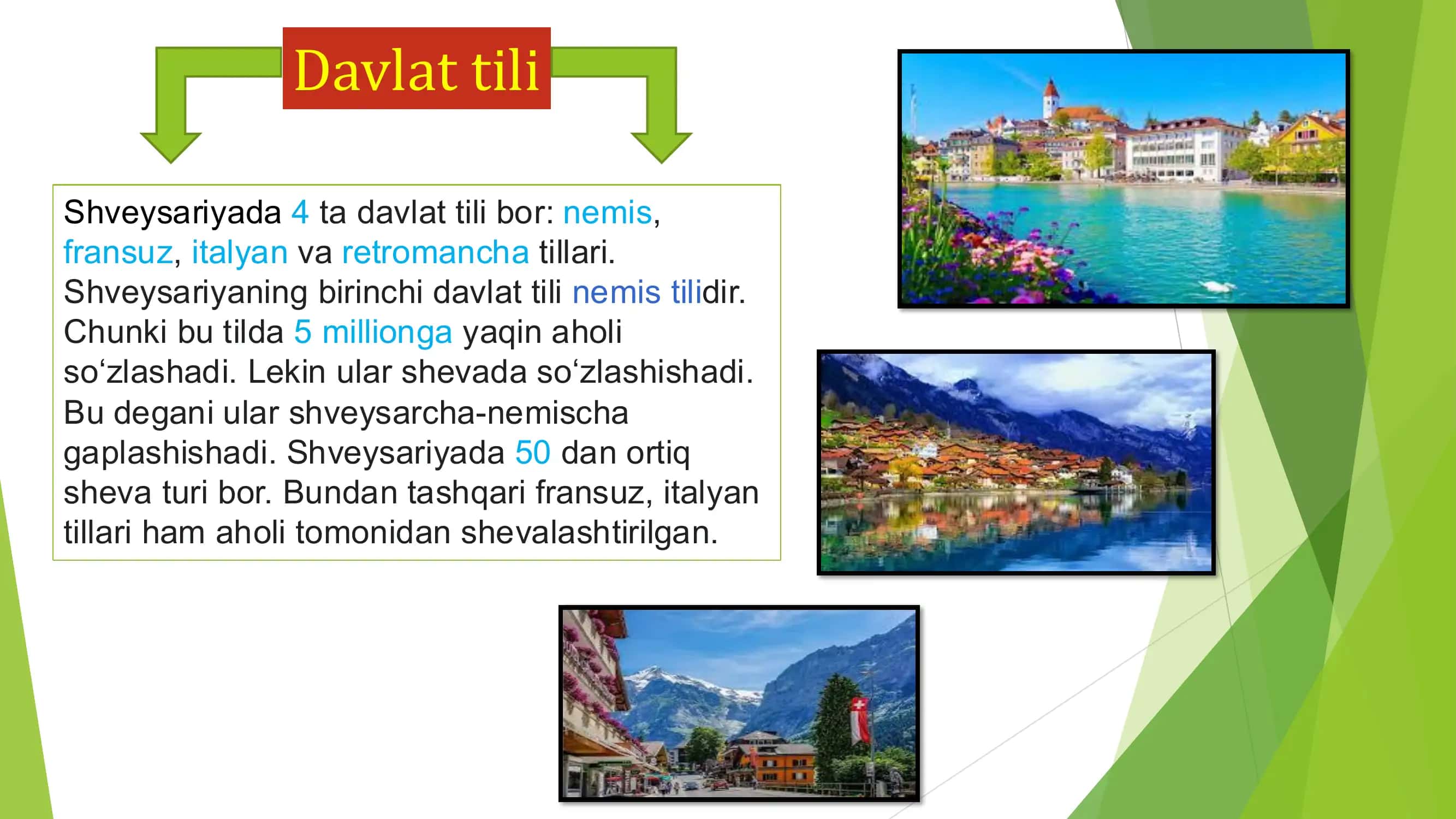 Shveysariyada ijtimoiy ish 3