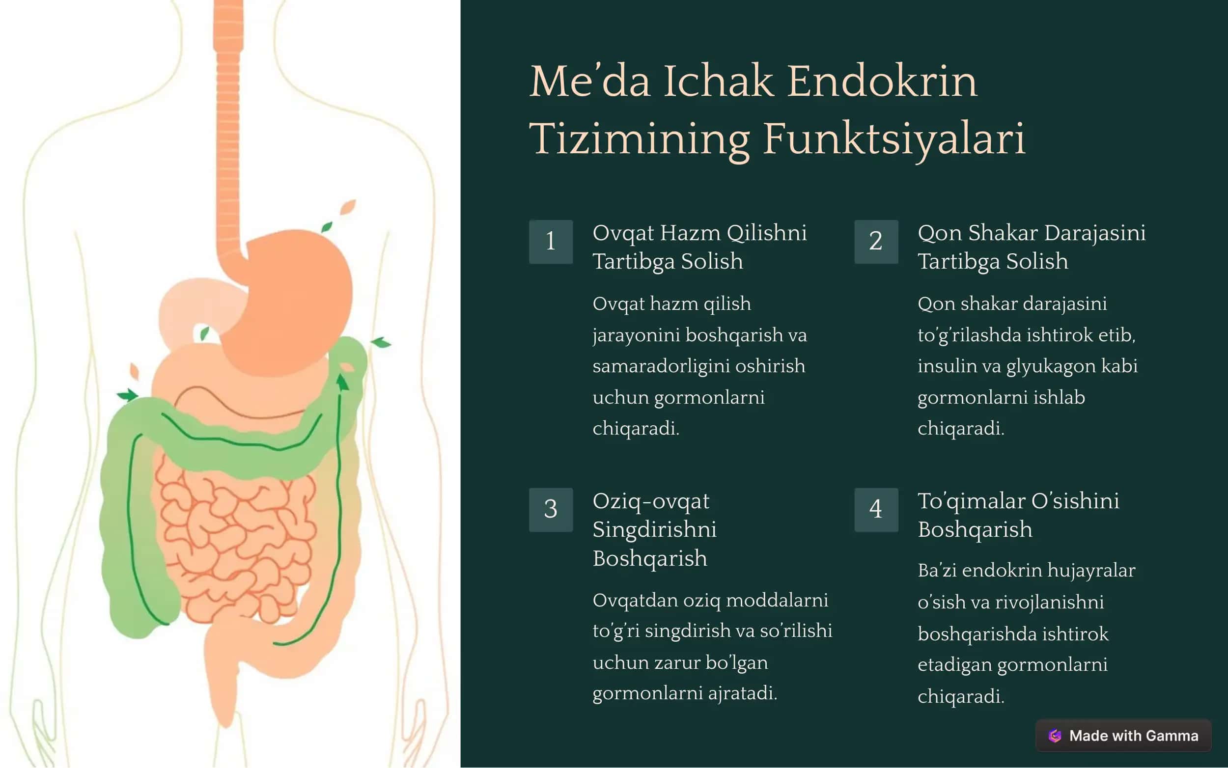 Me’da Ichak Nayining Endokrin Hujayralari 3