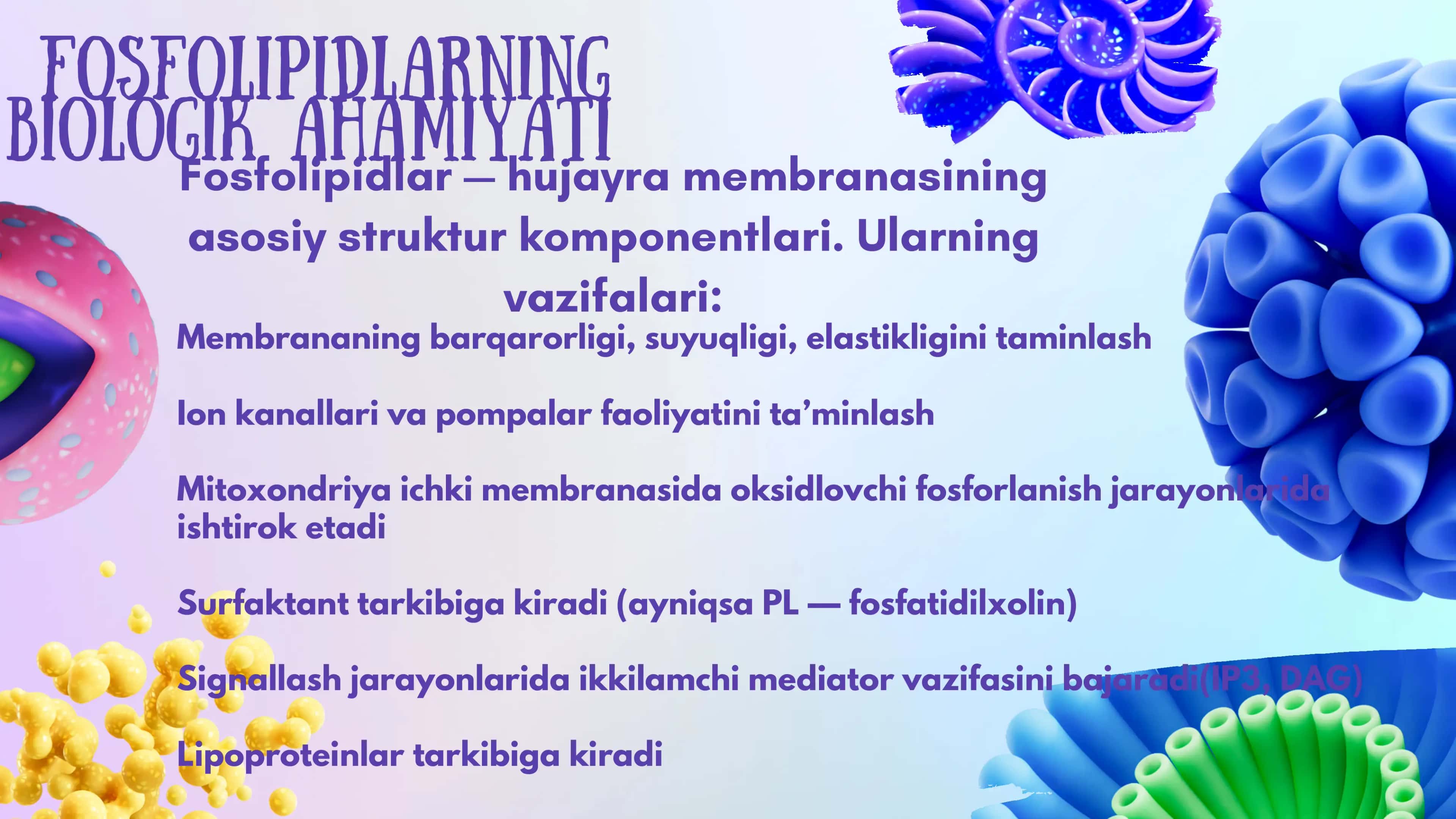 FOSFOLIPIDLAR ALMASHINUVINING BUZILISHI 3