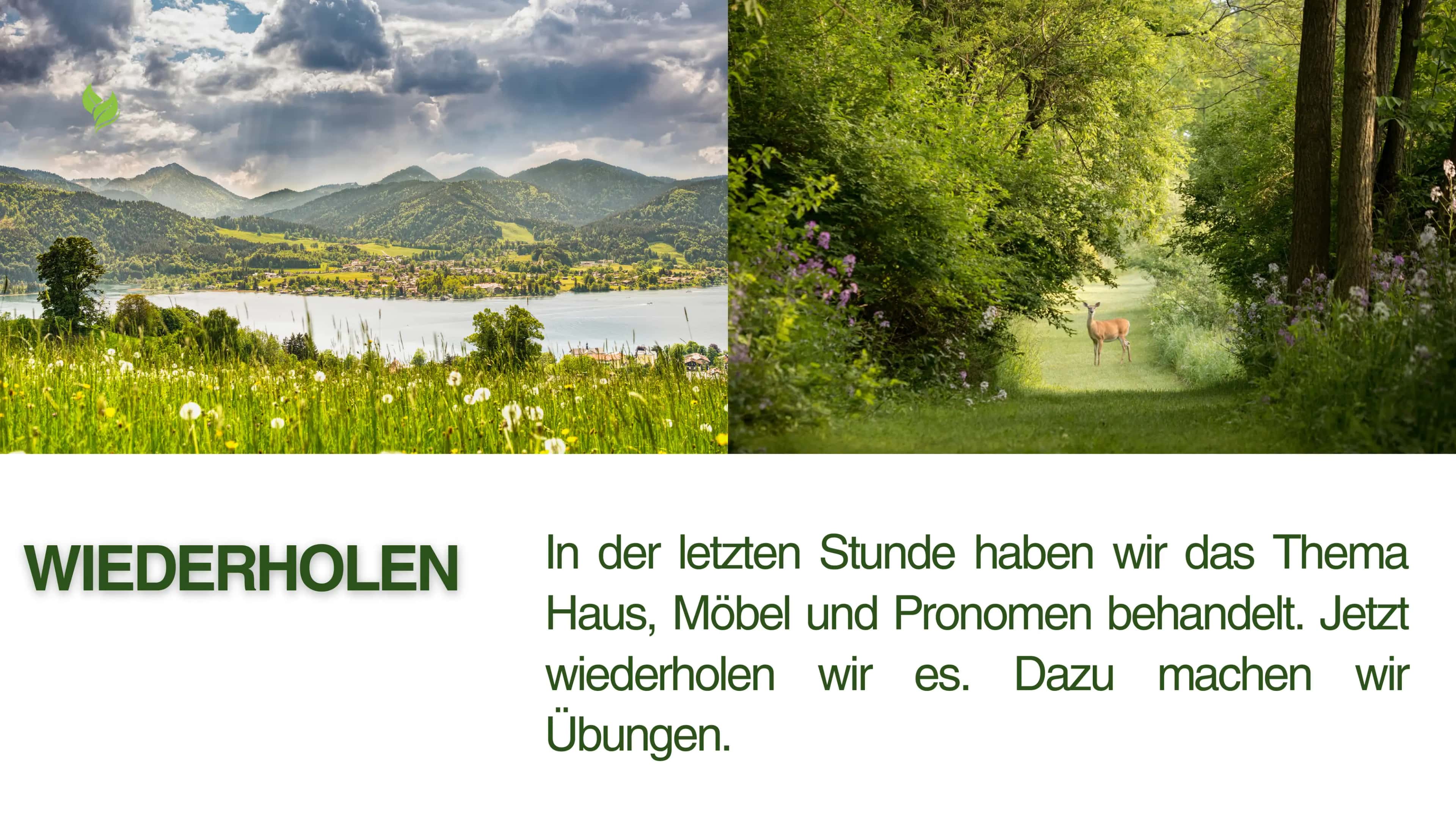 Modal Verben "Können" 3