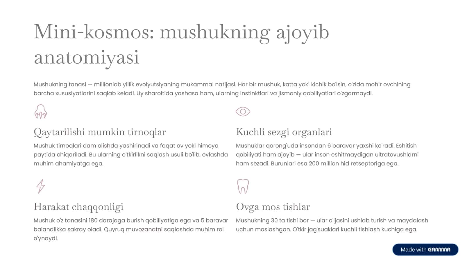 Mushuklar haqida to‘liq qo‘llanma 3