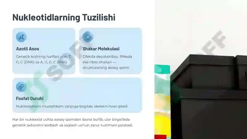Nuklein Kislotalar Tuzilishi 3