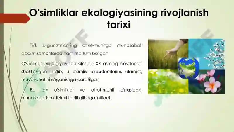 O'simliklar ekologiyasining rivojlanish tarixi 3