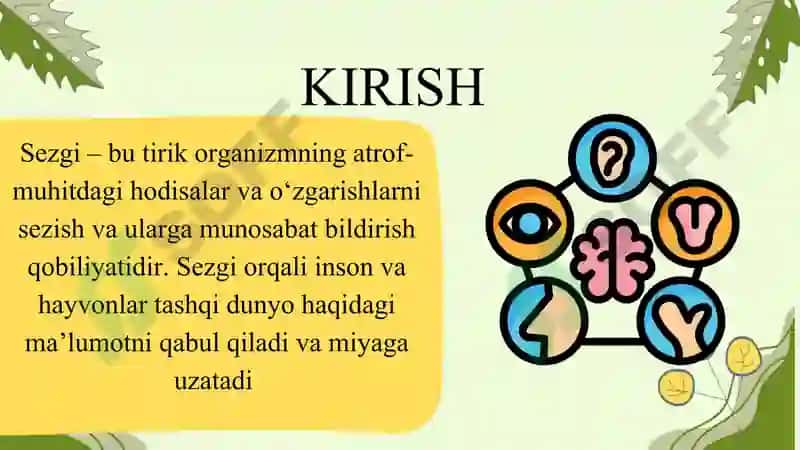 sezgi haqida umumiy tushuncha 3