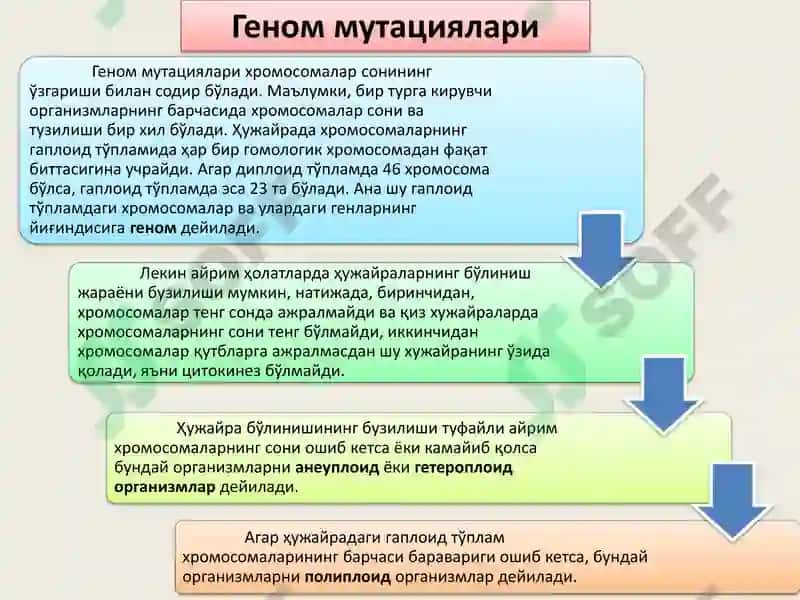 IRSIY O’ZGARUVCHANLIK 3
