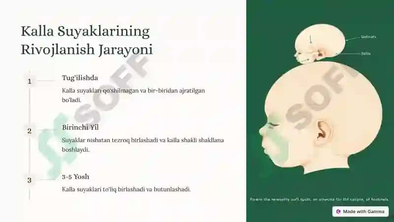 Kalla Suyaklari 3