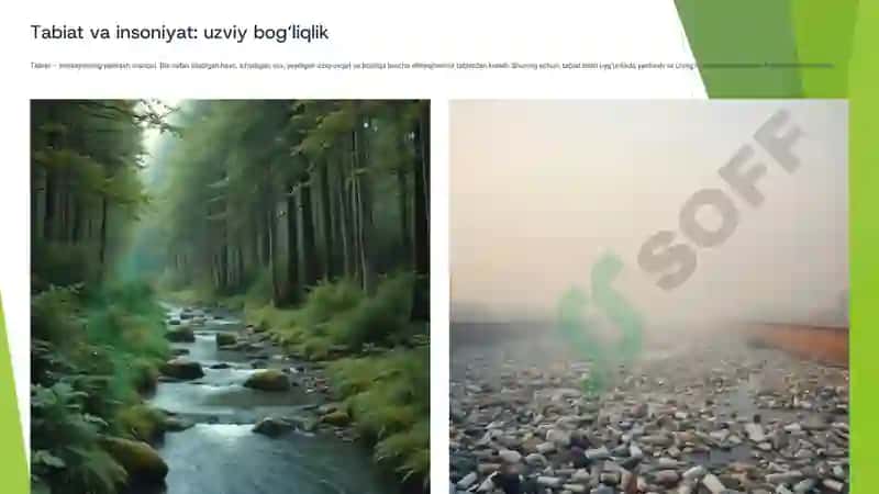Tejamkorlik: Tabiatga va Oila Byudjetiga Yordam 3