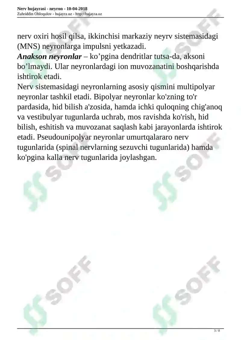 Nerv hujayrasi - neyron 3