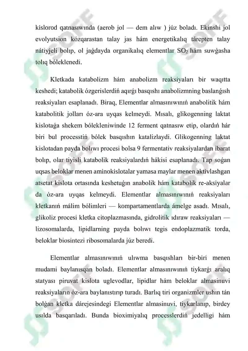 Zatlar Almasinuvi 3