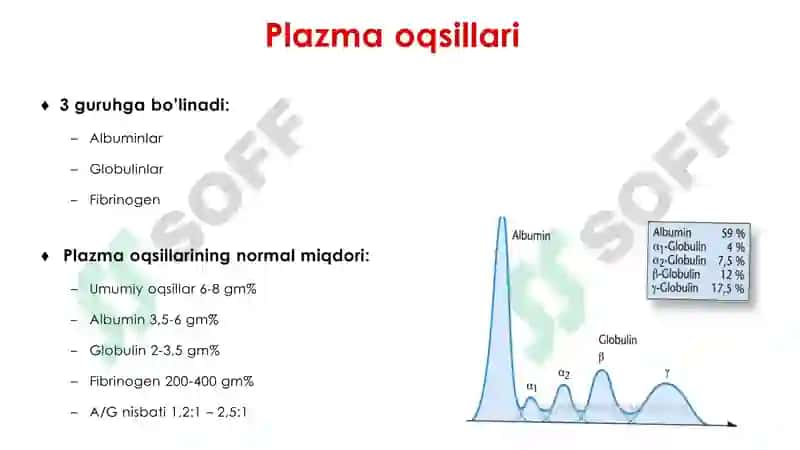 Plazma oqsillari 3
