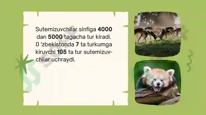 Sutemizuvchilar sistematikasi 3