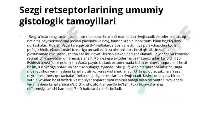 Sezgi a'zolari gistologiyasi 3