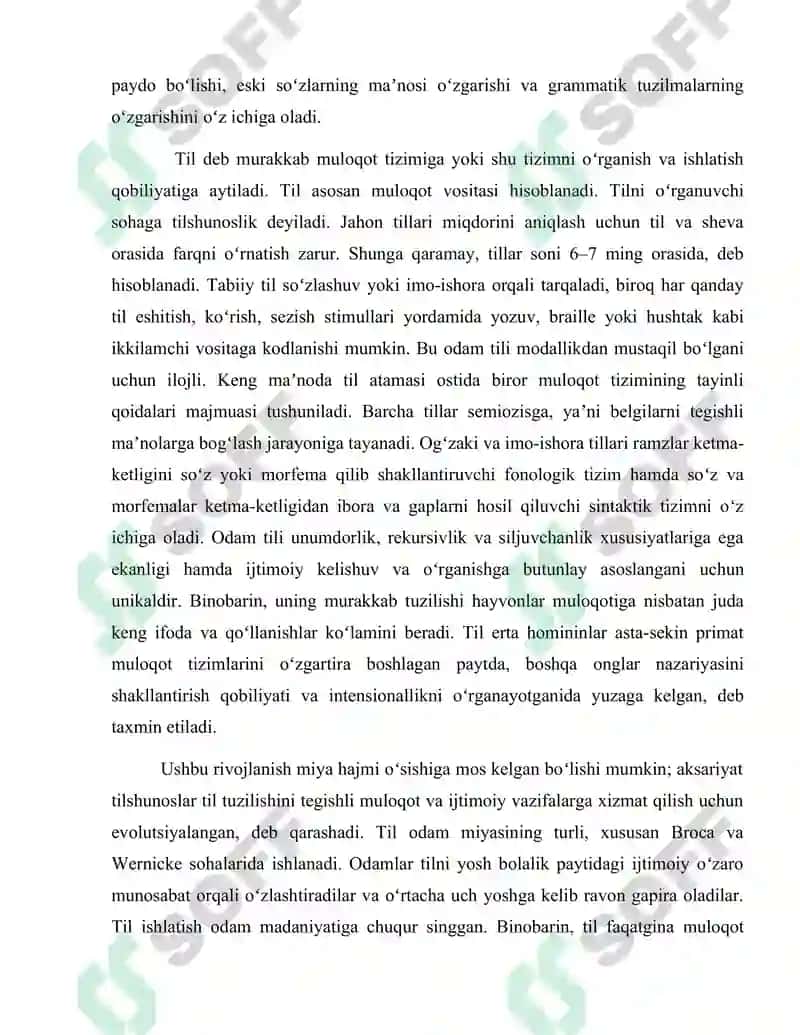 Tilning tizim sifatidagi mohiyati 3