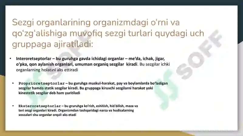 Sezgi haqida umumiy tushuncha 3