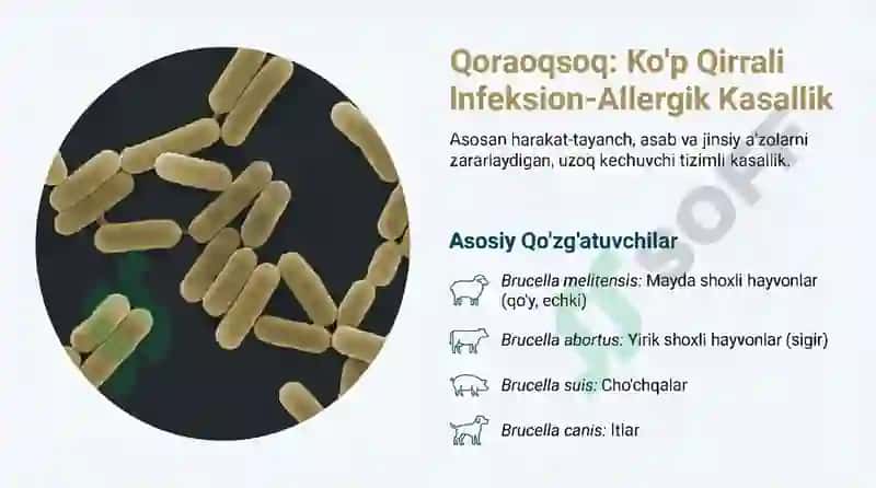 Zoonoz Kasalliklar. Qoraoqsoq. O'lat 3