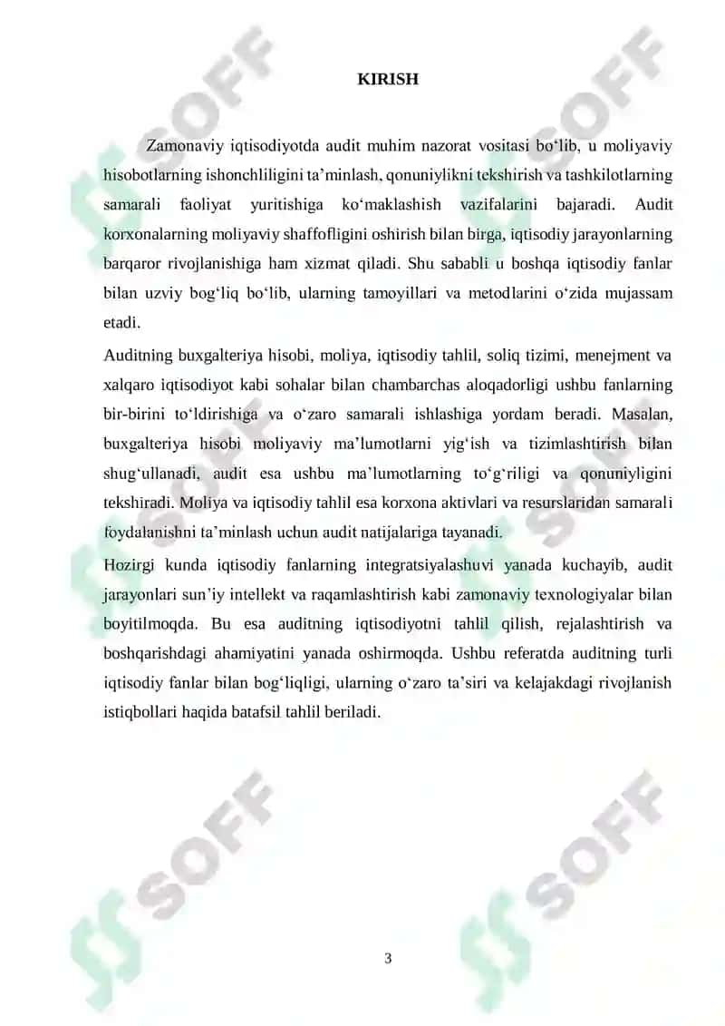 Auditga kirish fanidan Referat 3