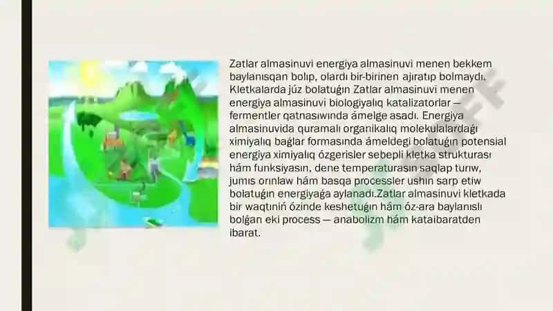 Zatlar Almasinuwi 3