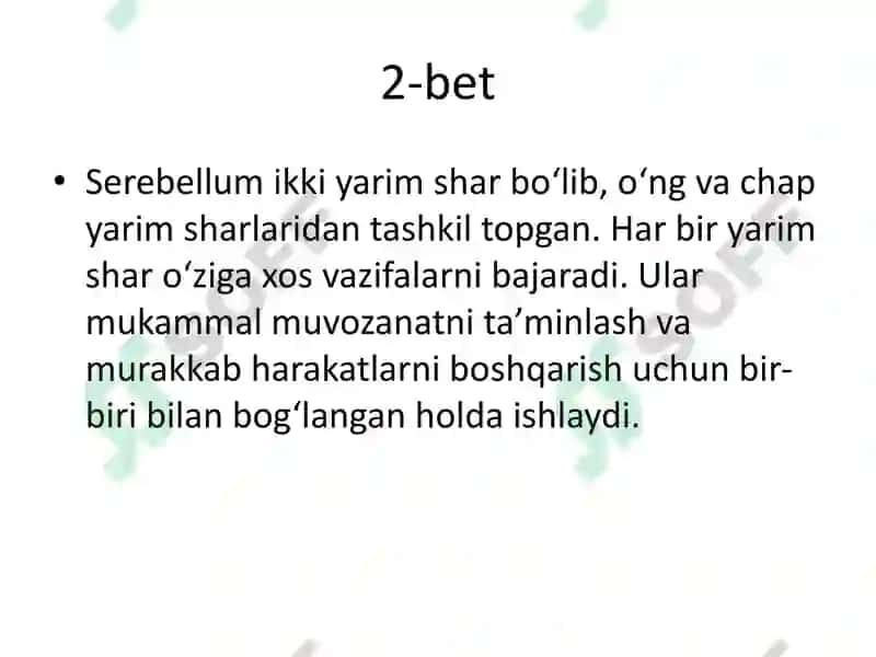 Serebellum va Miyaning Yadrolari 3