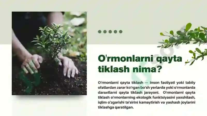 Geografiya fanidan loyiha ishi 3