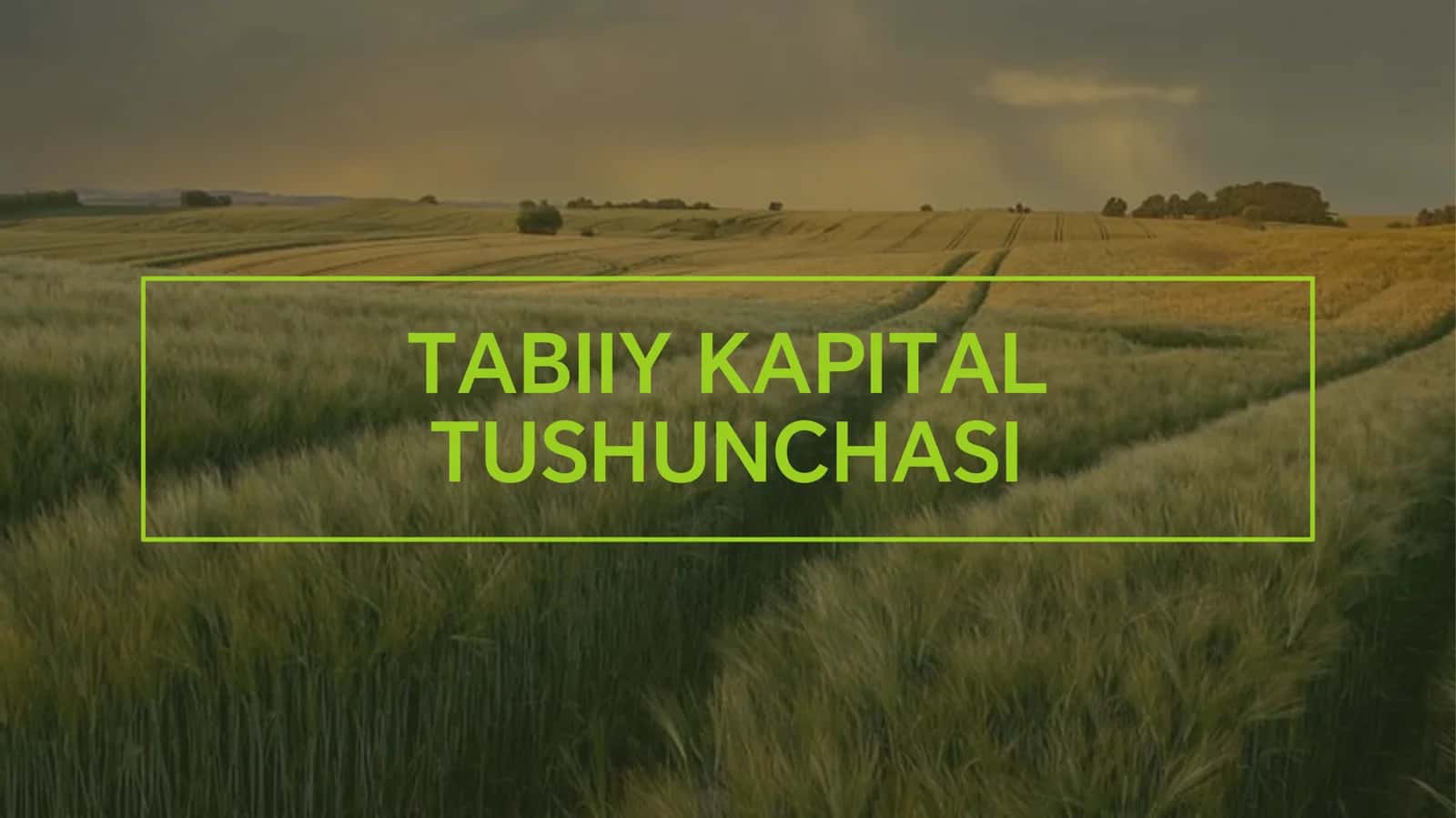TABIIY KAPITALGA EGA 3