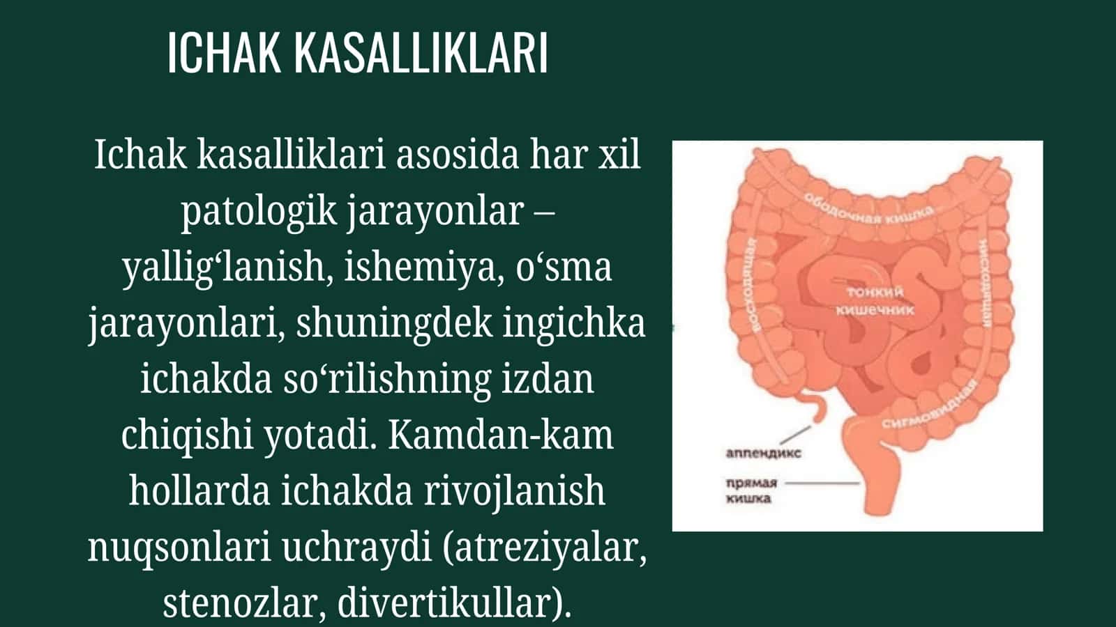 Ichak kasalliklari 3