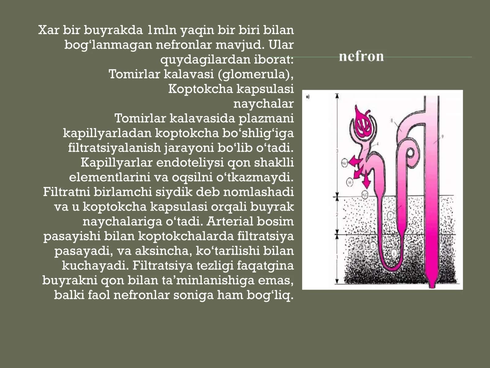 DIURETIKLAR 3