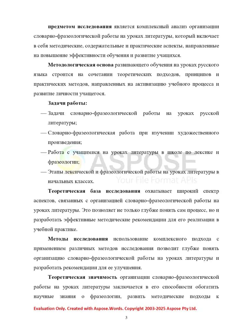 Организация словарно-фразеологической работы на уроках литературы в школе 3