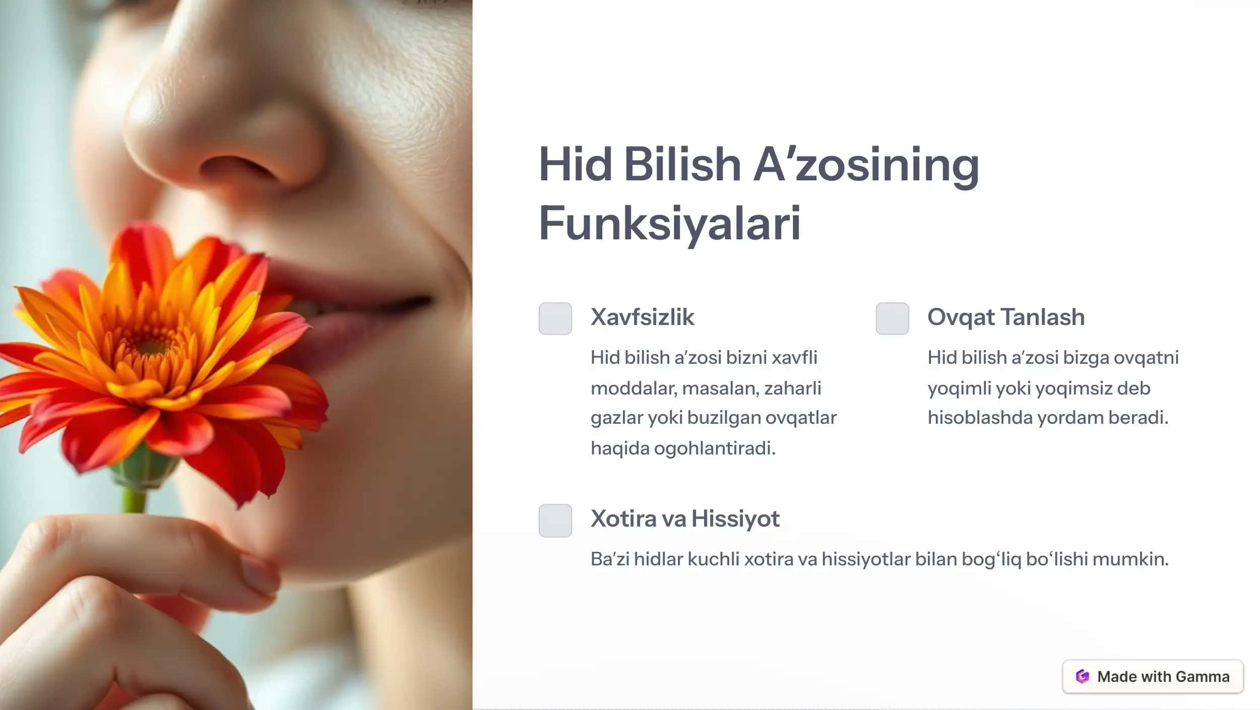 Hid Bilish Aʼzosi: Sirli Dunyo 3