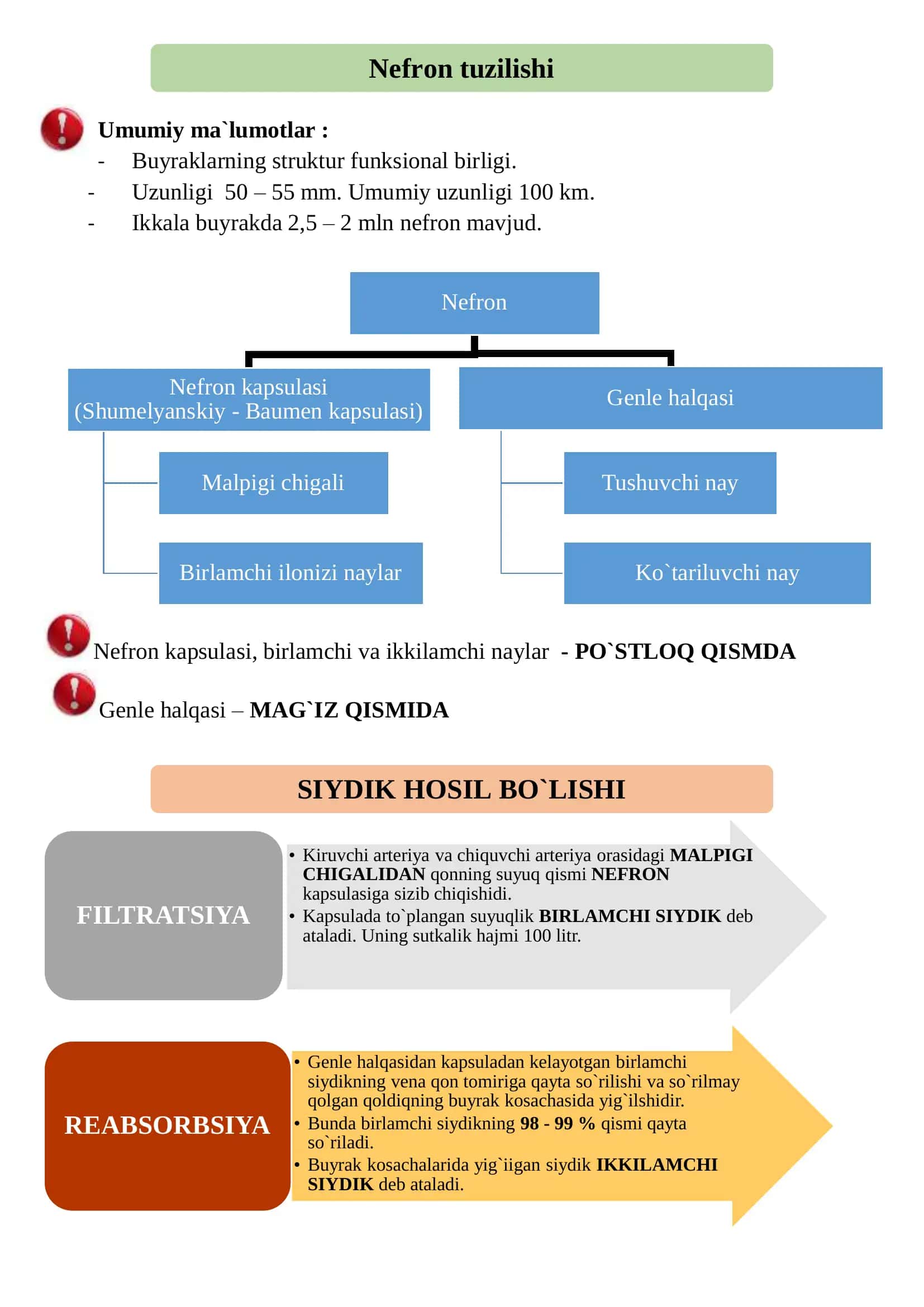 AYIRISH SISTEMASI – BUYRAKLAR. 3