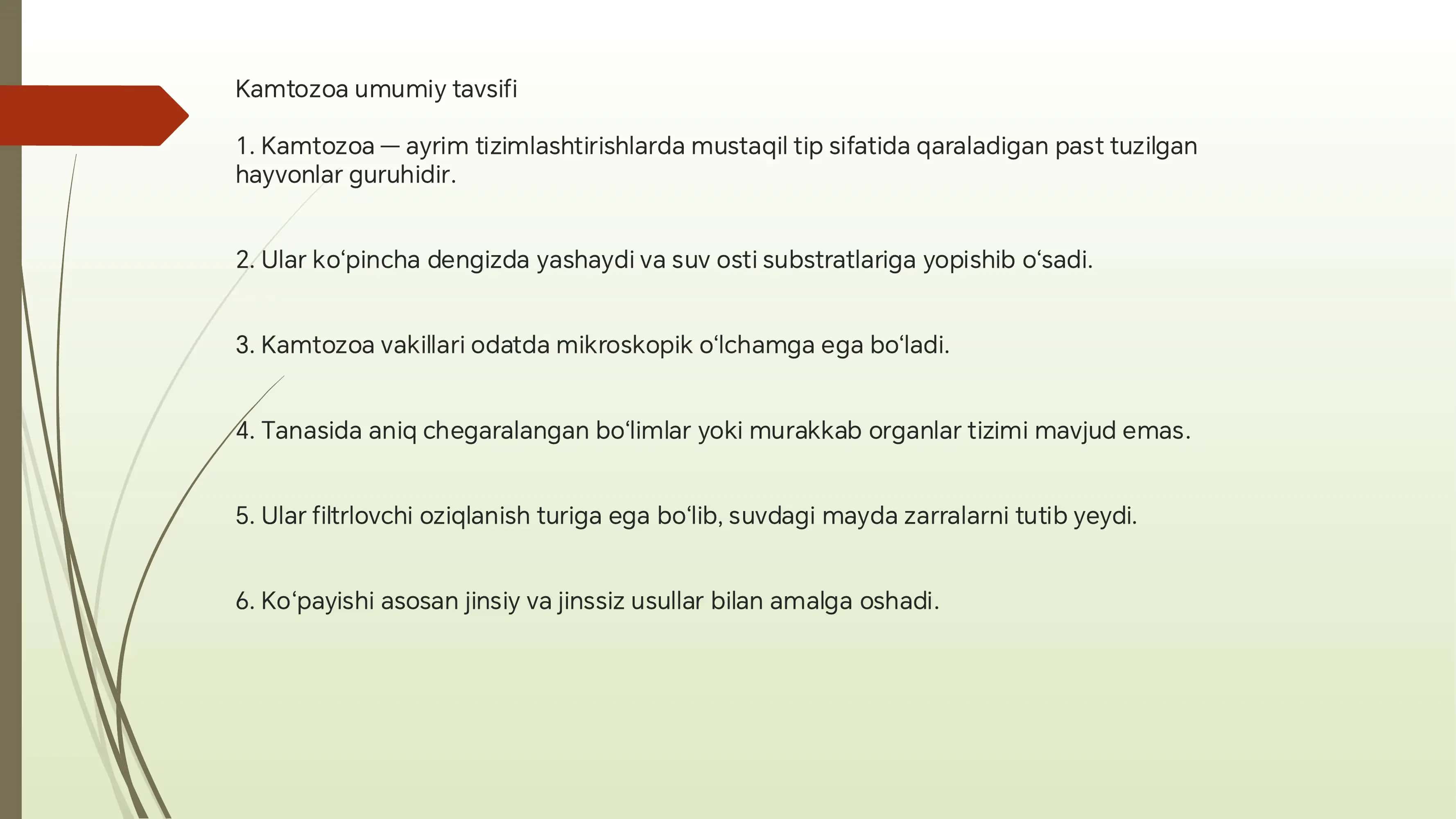 Kamtozooa va  cyclophora tipining umumiy haraktiristikasi 3