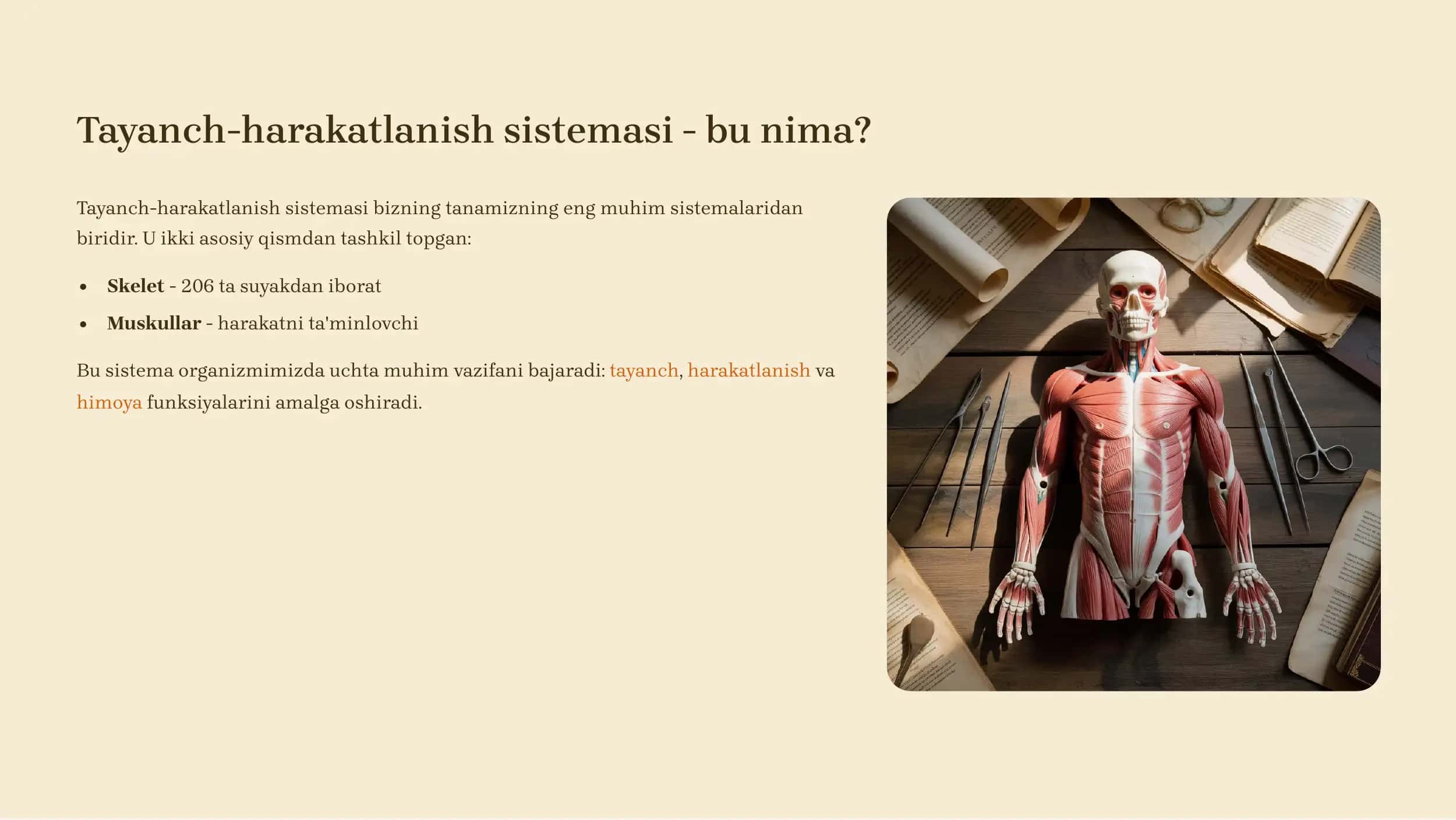 Tayanch-harakatlanish sistemasi 3