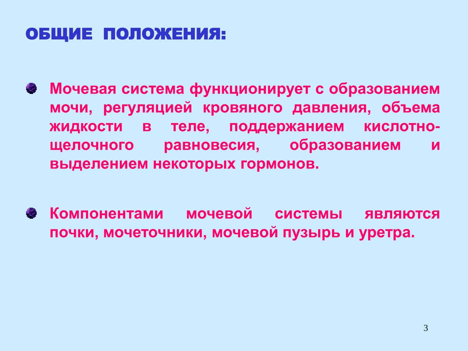 Выделительная система 3